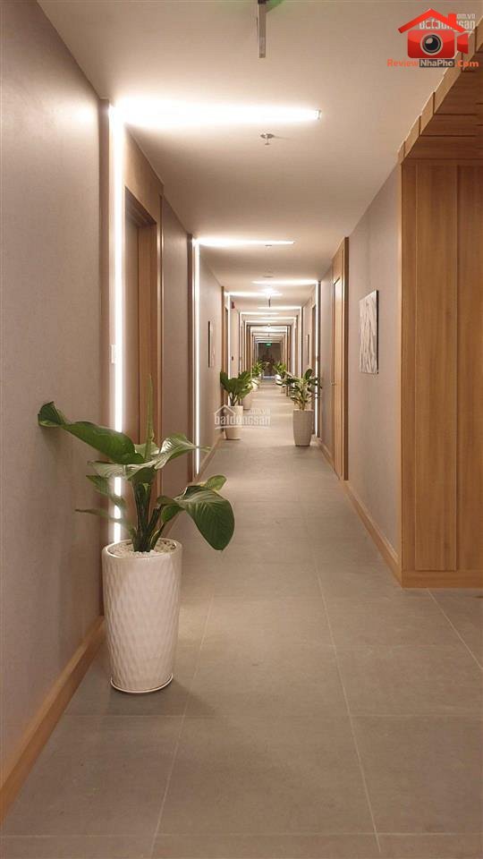 Review nhà phố Cộng Hòa, Phường Tân Sơn Nhất, Quận Tân Bình, TP.HCM – 50m2 giá 2.8 tỷ