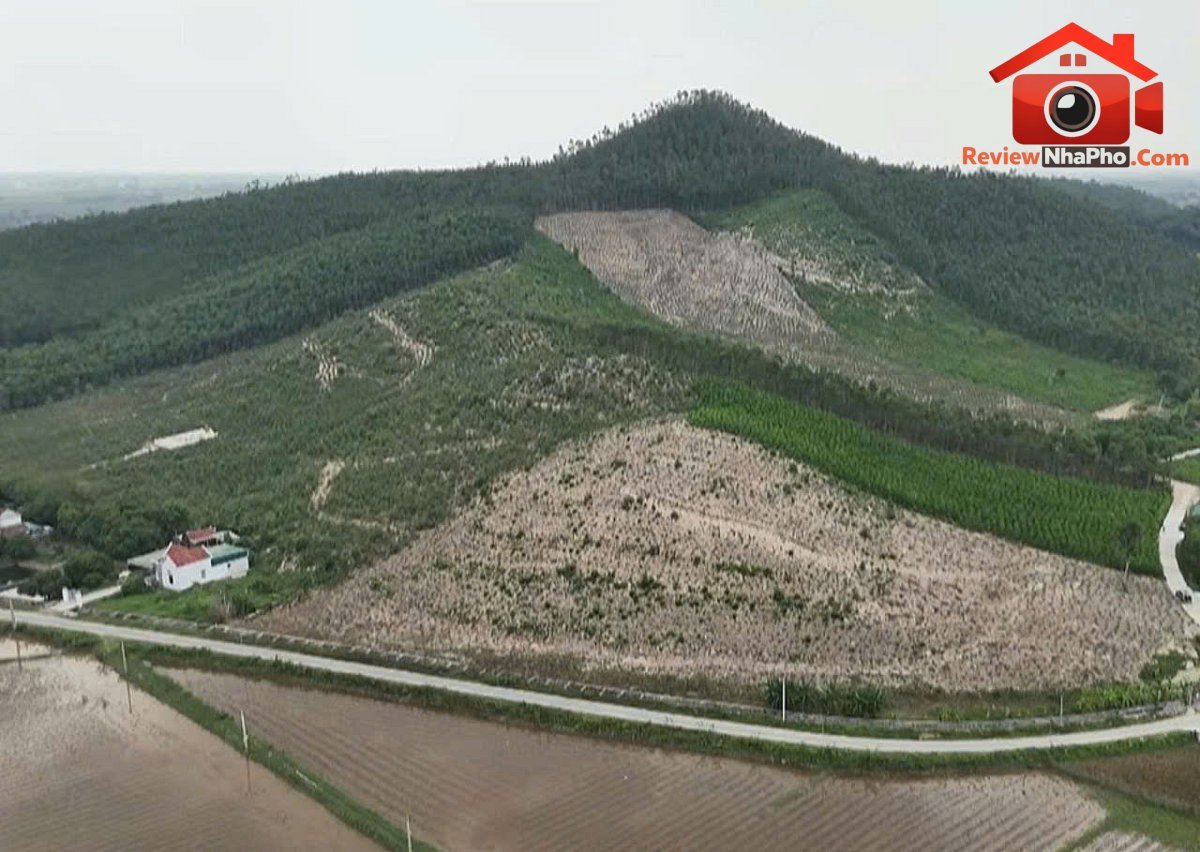 Nghệ An tìm giải pháp tháo gỡ “nút thắt” vật liệu xây dựng- Ảnh 1.
