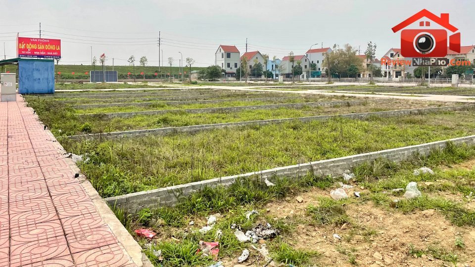 Cần chính sách thuế đất hiệu quả để hạn chế đầu cơ